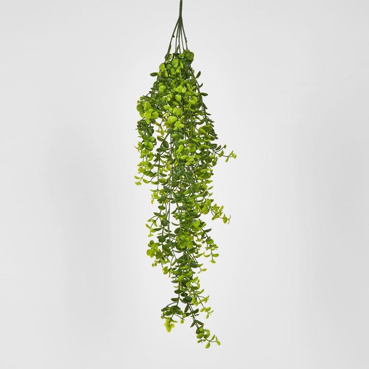 Hanging Buxus Greenery