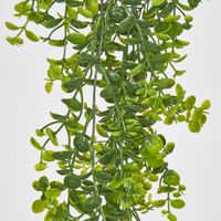 Hanging Buxus Greenery