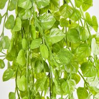 Hanging Buxus Greenery