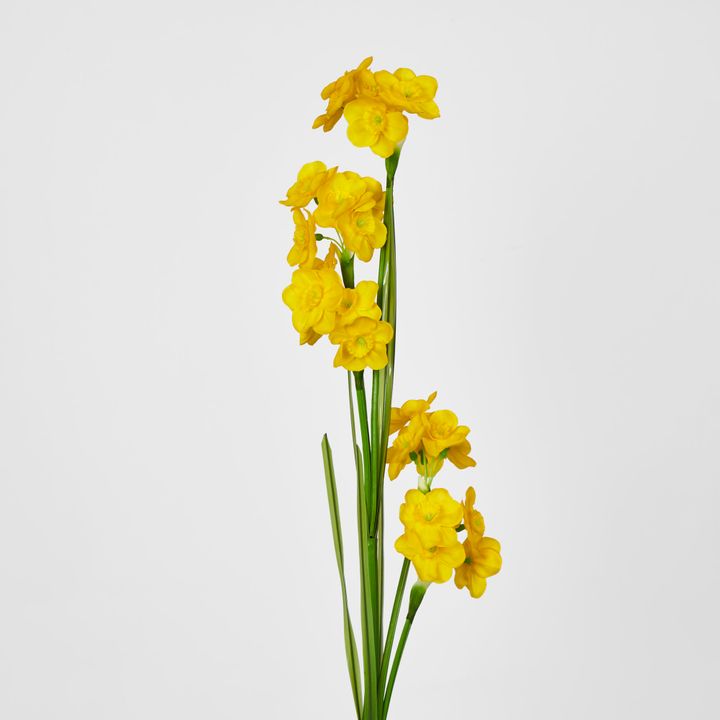 Daffodil Spray