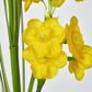 Daffodil Spray