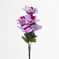 Rose Bush Sold in Box Qty Only