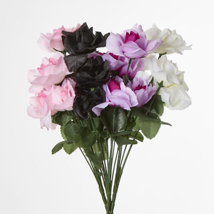 Rose Bush Sold in Box Qty Only