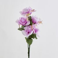 Rose Bush Sold in Box Qty Only