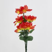 Rose Bush Sold in Box Qty Only