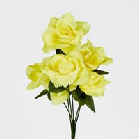Rose Bush Sold in Box Qty Only