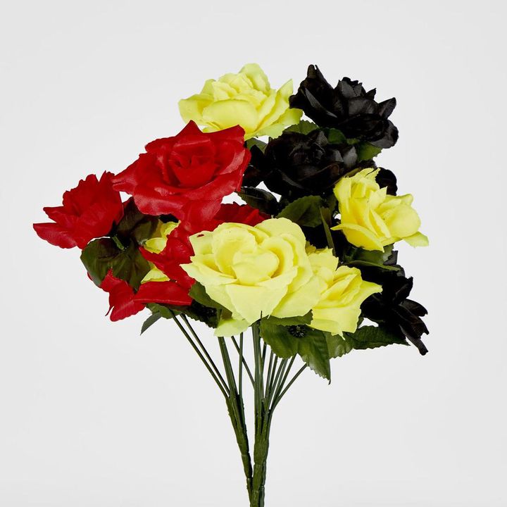 Rose Bush Sold in Box Qty Only