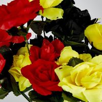 Rose Bush Sold in Box Qty Only
