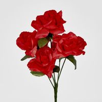 Rose Bush Sold in Box Qty Only