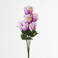 Rosebud Bush Sold in Box Qty Only