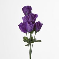 Rosebud Bush Sold in Box Qty Only