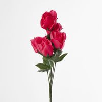 Rosebud Bush Sold in Box Qty Only