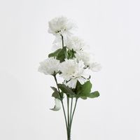 Carnation Bush Sold in Box Qty Only