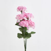 Carnation Bush Sold in Box Qty Only