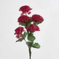 Carnation Bush Sold in Box Qty Only