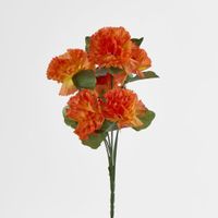 Carnation Bush C Asstd Box of 60