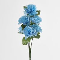 Carnation Bush C Asstd Box of 60