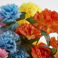 Carnation Bush C Asstd Box of 60