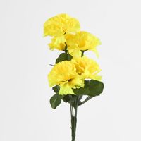 Carnation Bush C Asstd Box of 60