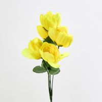 Peony Bush Asstd B Box of 60