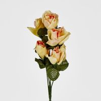 Rosebud Bush Sold in Box Qty Only