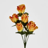 Rosebud Bush Sold in Box Qty Only