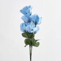 Rosebud Bush Sold in Box Qty Only