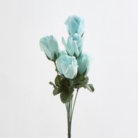 Rosebud Bush Sold in Box Qty Only