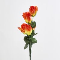 Rosebud Bush Sold in Box Qty Only