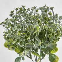 Mixed Leaf Bush Green