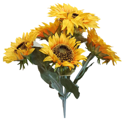 Yellow Sunflower Bush with 5 Flowers