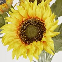 Yellow Sunflower Bush with 5 Flowers