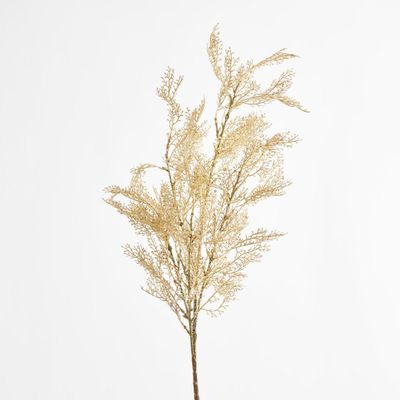Pampas Grass Bush Cream