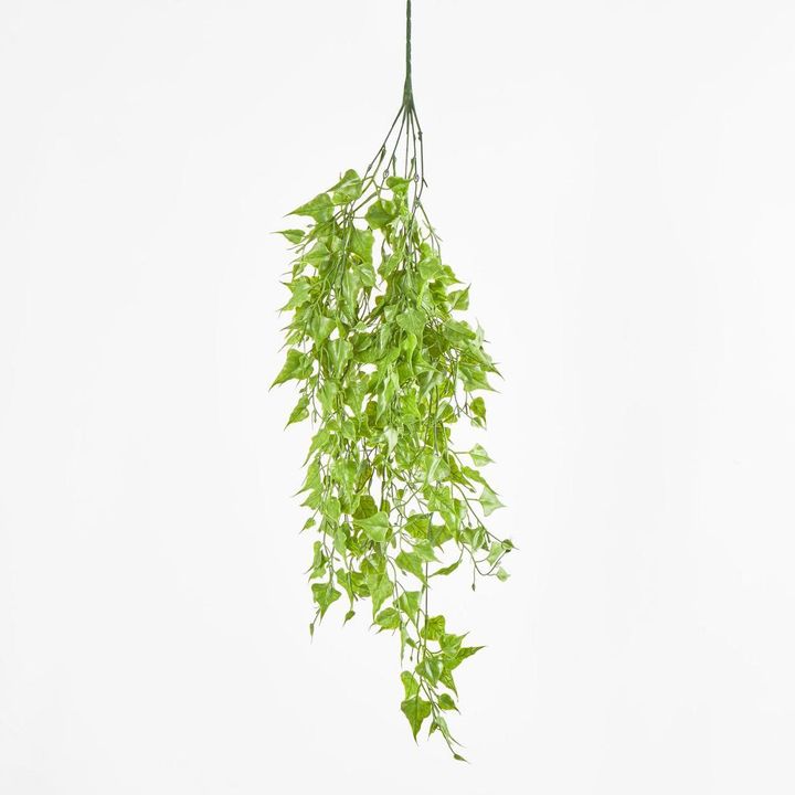 Hanging Leaf Branch bush