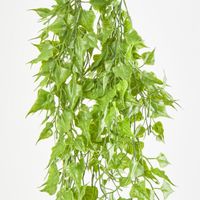 Hanging Leaf Branch bush