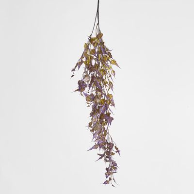 Hanging variagated grape leaf Greenery