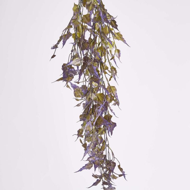 Hanging variagated grape leaf Greenery