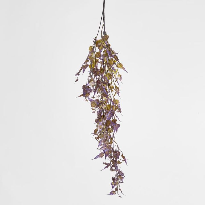 Hanging variagated grape leaf Greenery