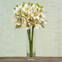 Orchid Cymbidium Spray 47cm White