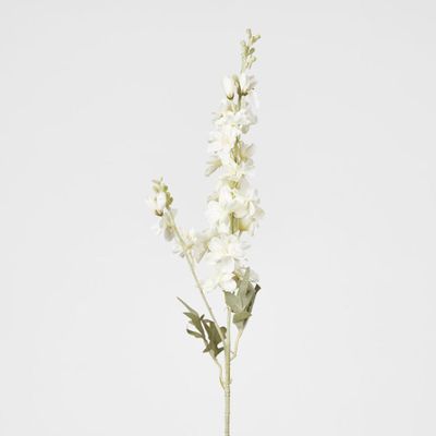 White Delphinium