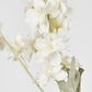 White Delphinium