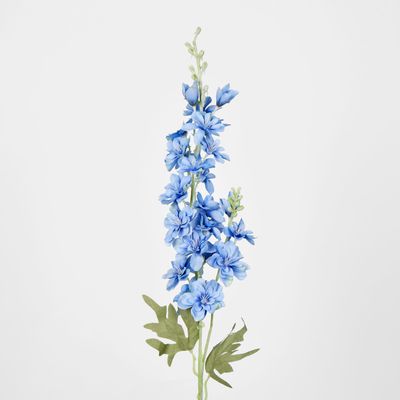 Slate Blue Delphinium