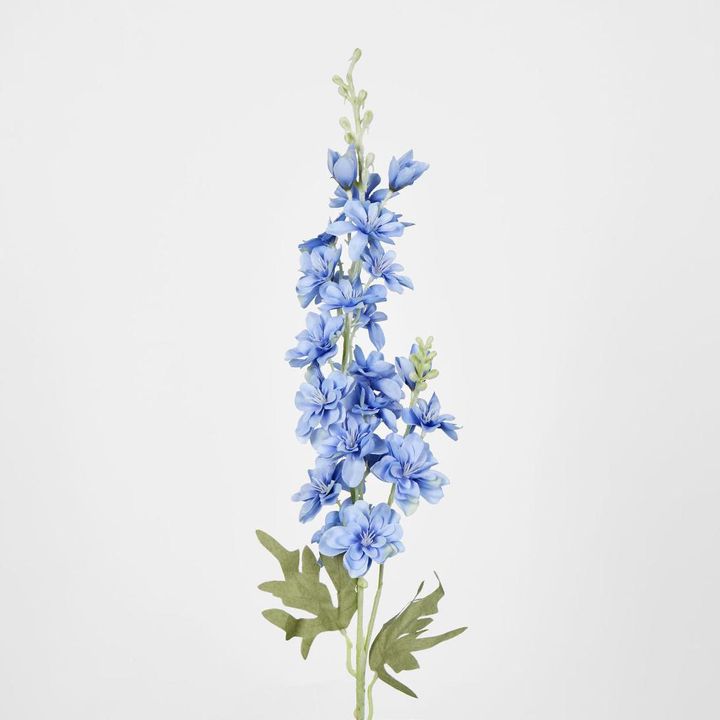 Delphinium 85cm Blue