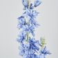 Slate Blue Delphinium