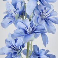 Delphinium 85cm Blue