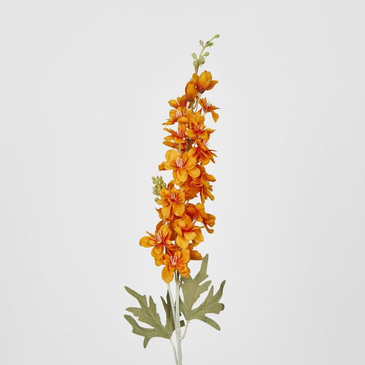 Delphinium 85cm Orange