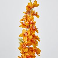 Delphinium 85cm Orange