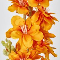 Delphinium 85cm Orange