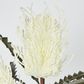 White Cream banksia Spray