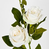 Cream White Rose Spray